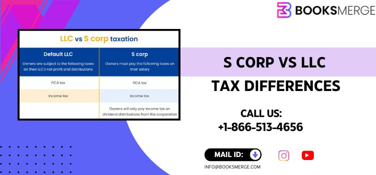 S Corp vs LLC Tax Differences
